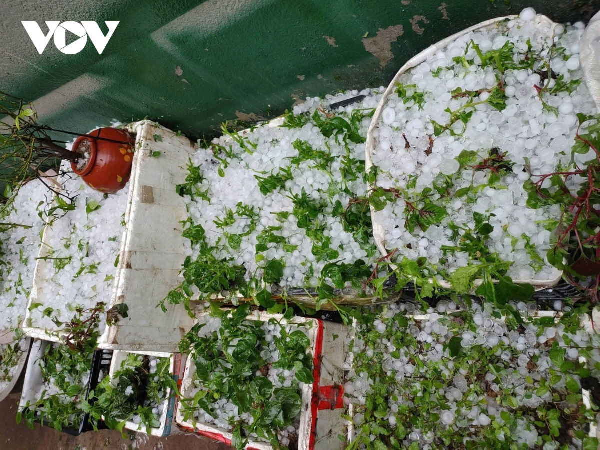 Mưa đá phủ trắng núi đồi kèm giông lốc tại phía Nam tỉnh Điện Biên